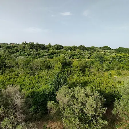 Apartamento Seaside - Sunset Kožino